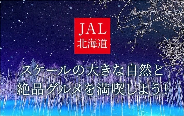 JAL北海道のプロモーション画像