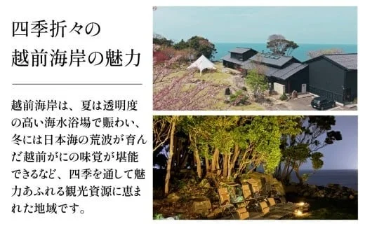 四季折々の越前海岸の風景