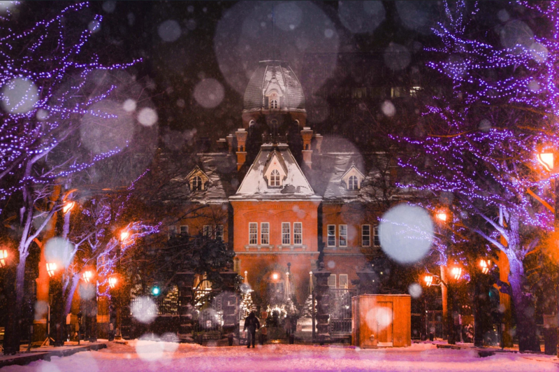 札幌の雪とイルミネーションの夜景