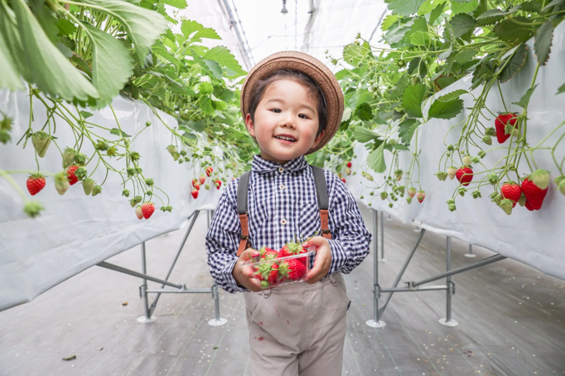 いちごを手に笑顔の男の子