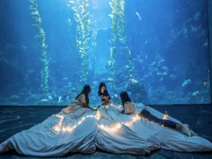 国立海洋生物博物館のケルプの森