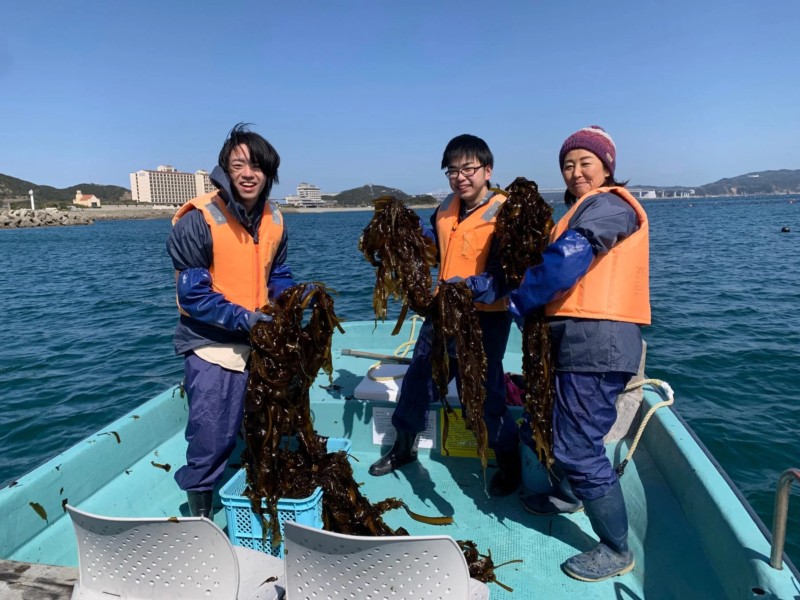 晴れた日に小舟に乗った3人が、収穫したばかりの大量の海藻（ワカメやコンブと推測される）を誇らしげに掲げています。ライフジャケットを着用しており、背景には海岸線や建物が見えます。