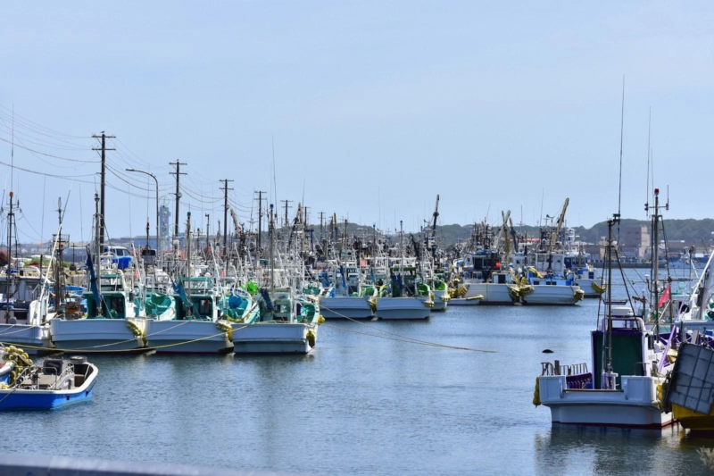 漁港の画像