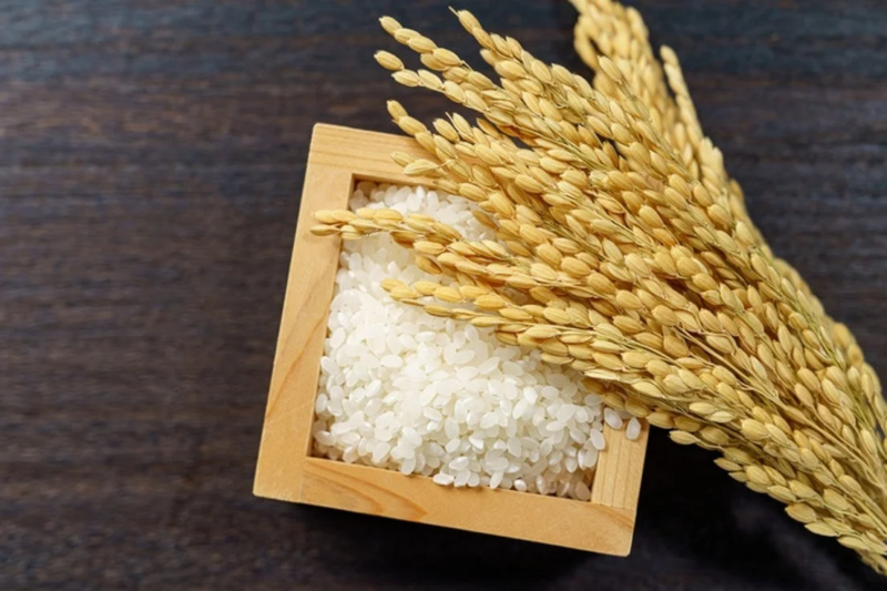 東北のブランド米