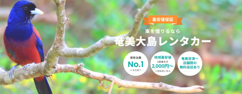 奄美大島レンタカー