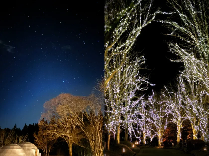 星空とイルミネーション