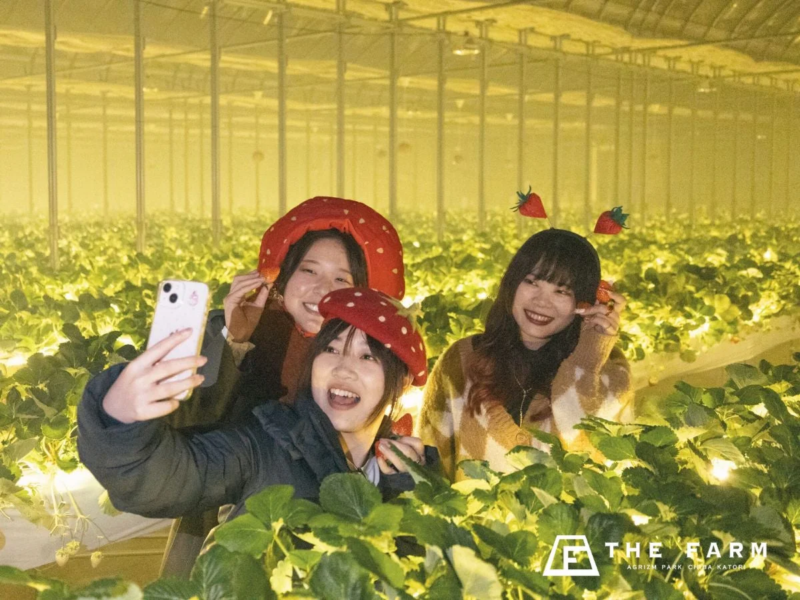 いちごの帽子をかぶった女性たち