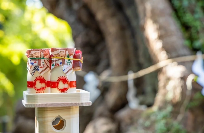 熱海温泉の特選牛乳