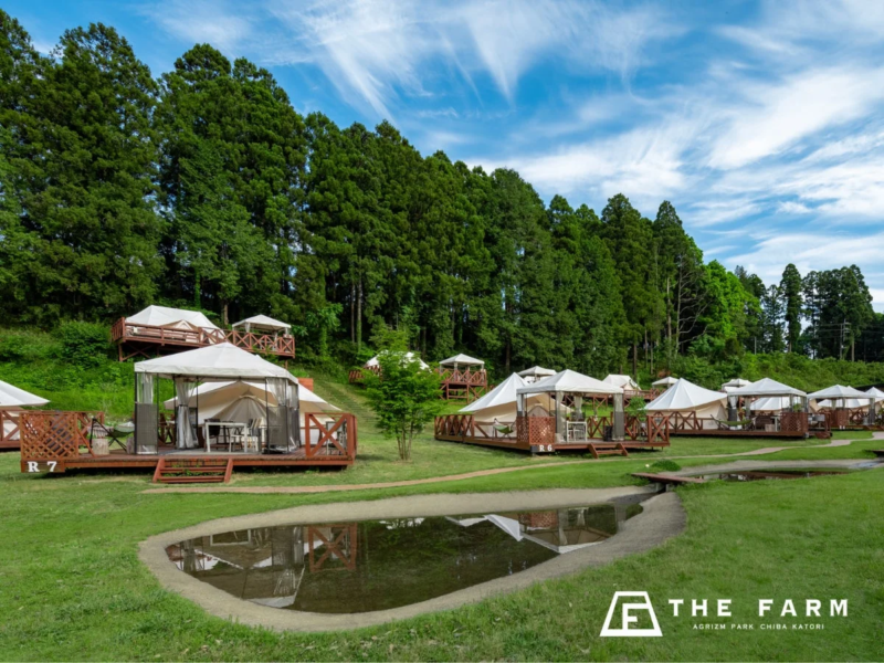 グランピング全景