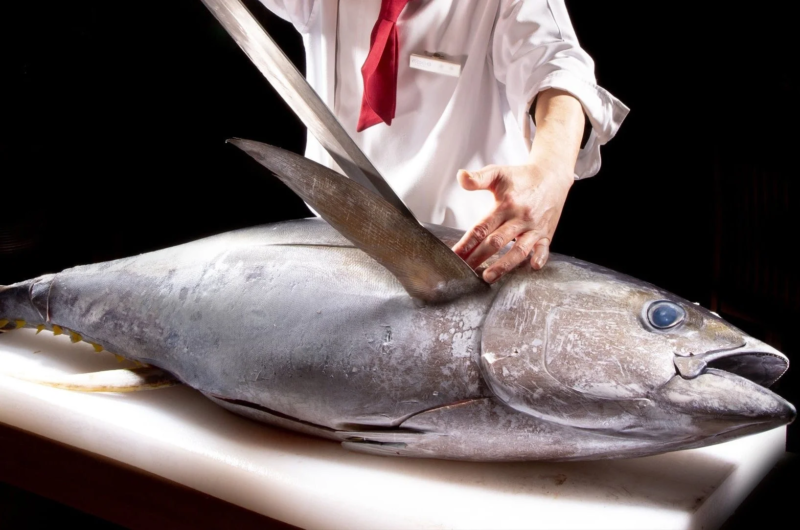 マグロを解体する料理人