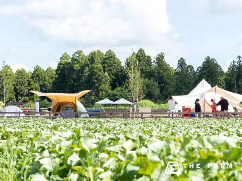 キャンプ場の風景
