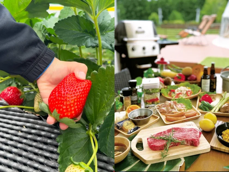 BBQといちご狩り