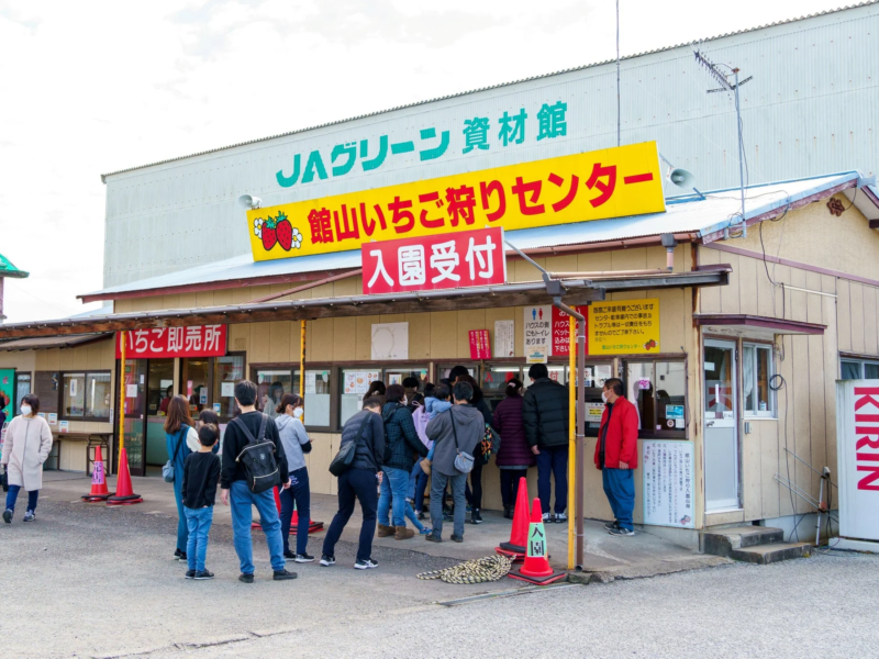 館山いちご狩りセンター入口