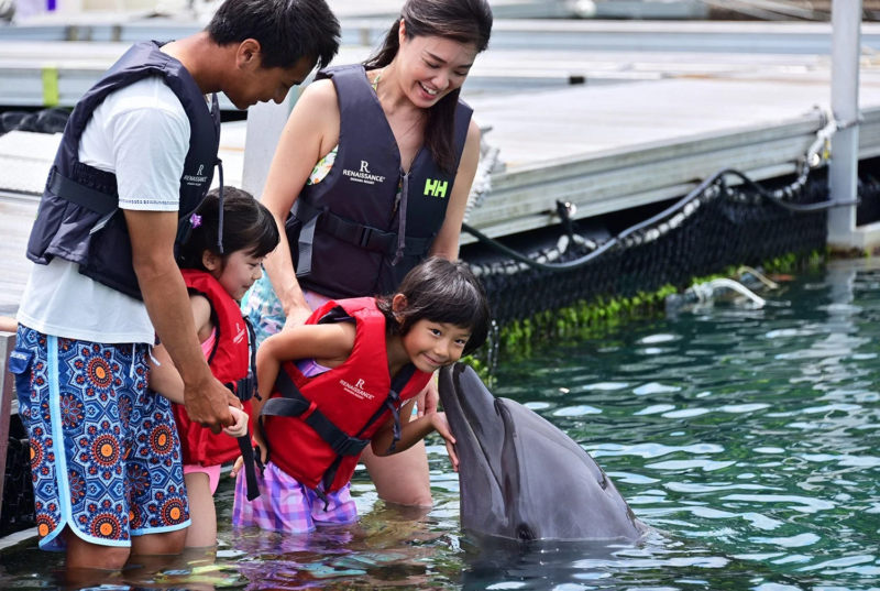 イルカと触れ合う家族