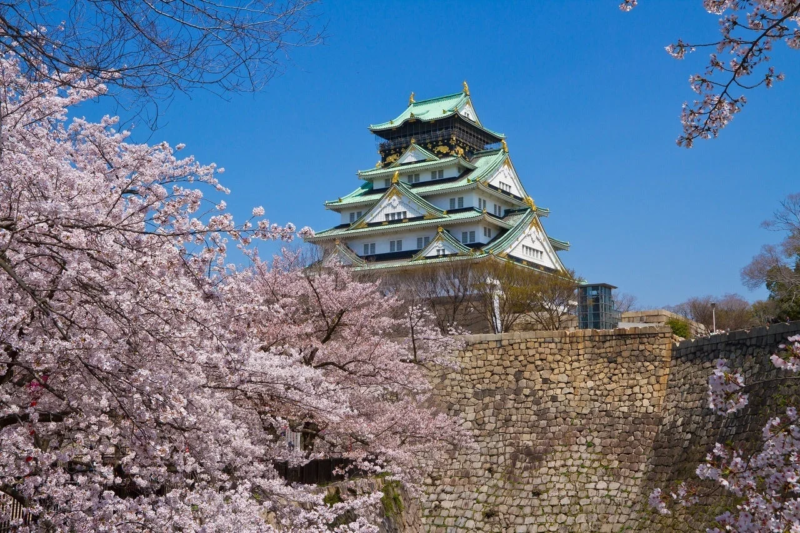 満開の桜に囲まれた大阪城