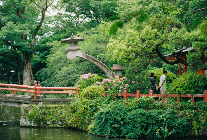 日本庭園を散策するカップル