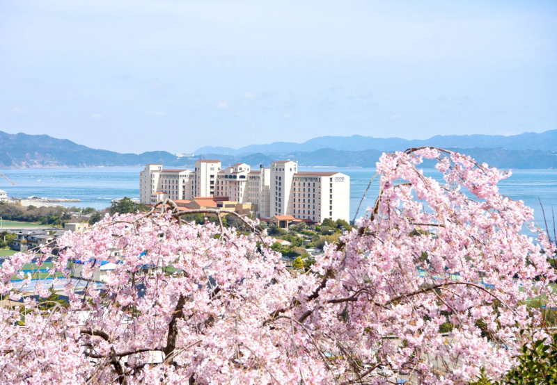 満開のしだれ桜が前景を飾り、その奥には海と白いリゾートホテル群、そして遠景には山々が広がる美しい春の風景。
