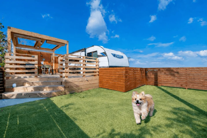 犬、ポメラニアン、ドッグラン、人工芝、ウッドデッキ、キャンピングカー、青空、アウトドア、ペットフレンドリー、庭、遊び場