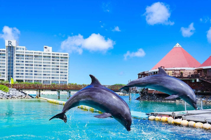 イルカがジャンプする様子