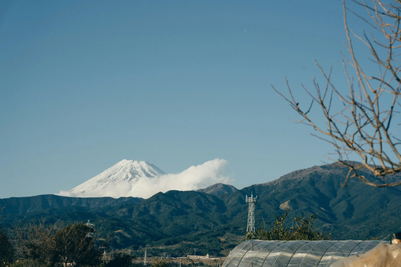 雪化粧した富士山と静岡の風景