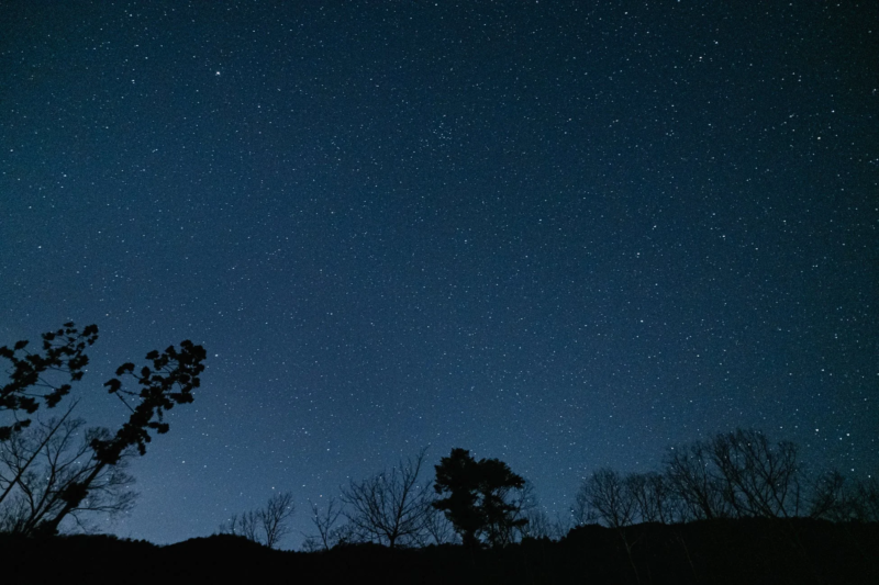 夜空の星と木々のシルエット