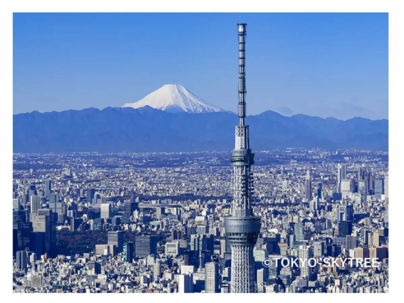 東京スカイツリーが広がる東京の街並みと富士山