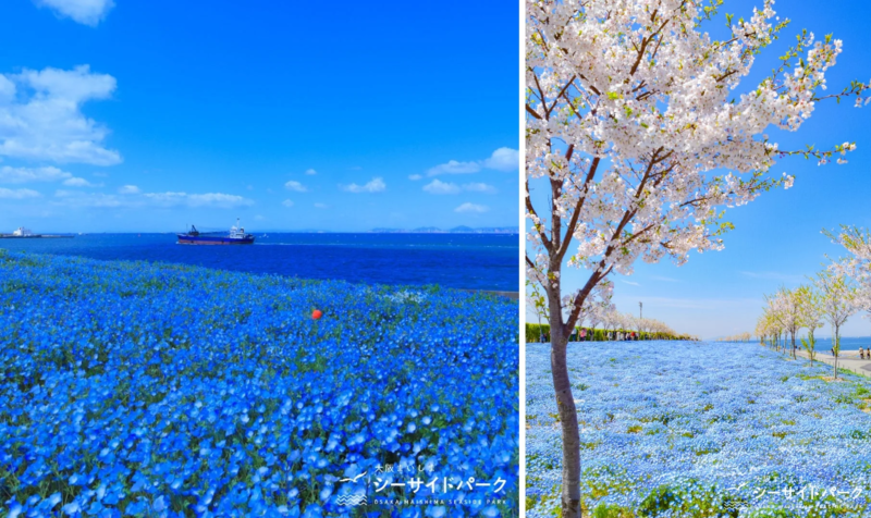 大阪まいしまシーサイドパーク