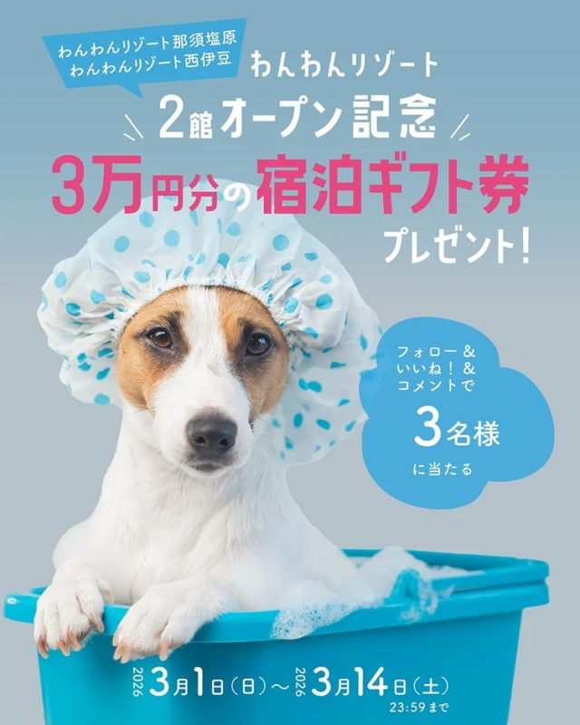 シャワーキャップを被った犬が可愛く、フォローなどで3万円分の宿泊ギフト券が3名に当たるInstagramキャンペーンの告知