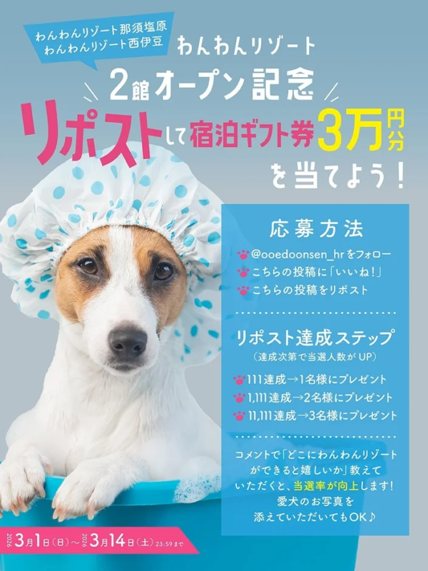 シャワーキャップをかぶった犬が特徴的な、Xでのリポストキャンペーンの告知