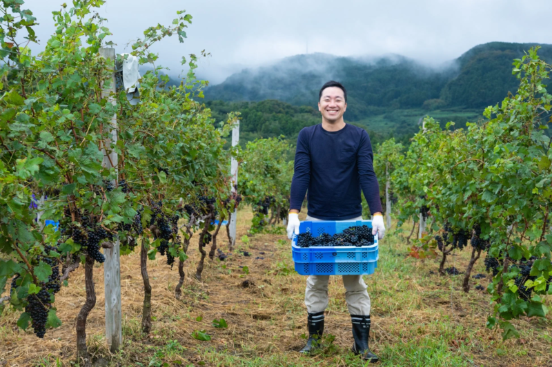ぶどう畑の男性