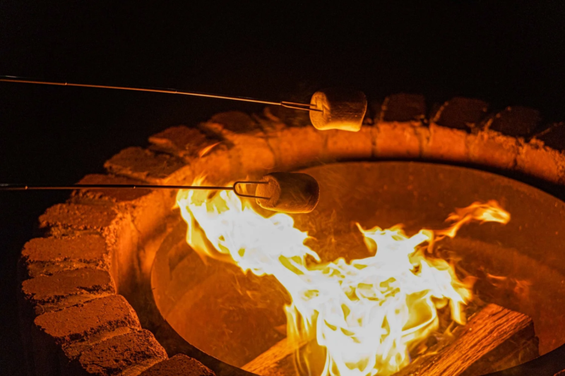 焚き火でマシュマロ