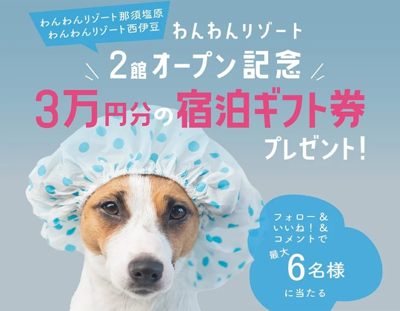 シャワーキャップをかぶった犬が印象的な、わんわんリゾート2館オープン記念キャンペーンの告知