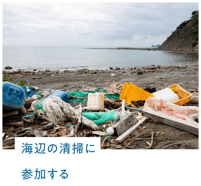 海辺の清掃に参加する