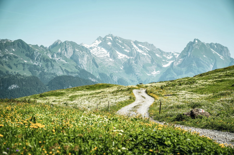 スイスの山と花畑の風景