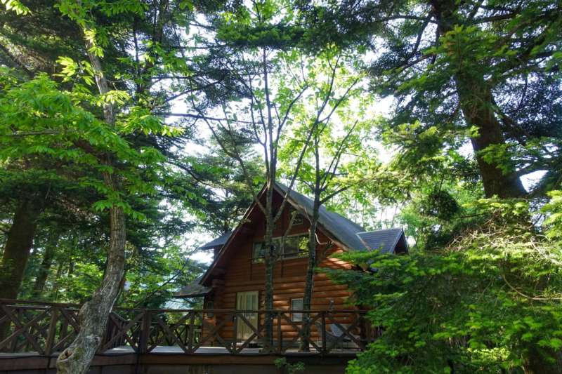 新緑に囲まれたログハウス