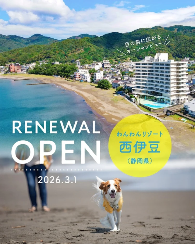 広大なオーシャンビューが広がる西伊豆の「わんわんリゾート」の施設と砂浜を走る犬の姿