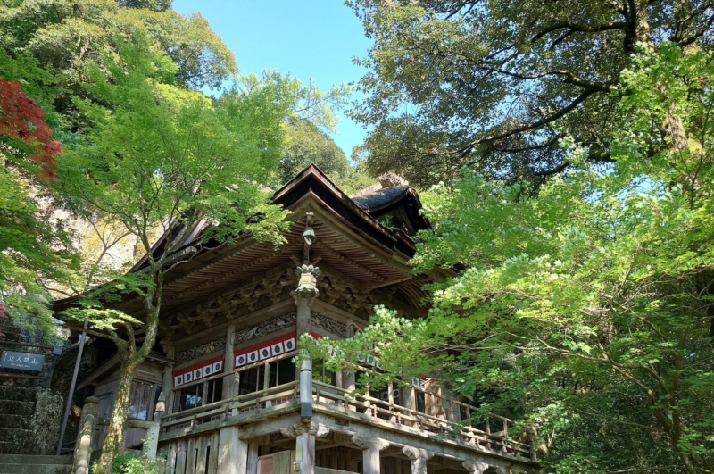 新緑の日本の寺院