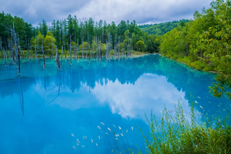 青い池