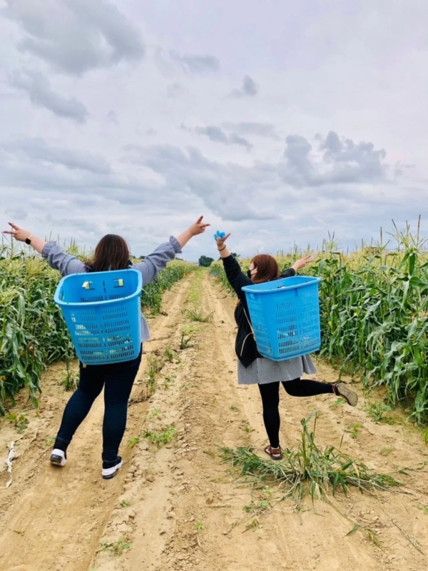 収穫体験を楽しむ女性