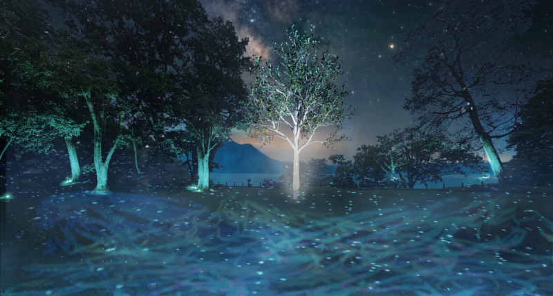 星空の下、湖畔の森が神秘的な光で彩られた夜景