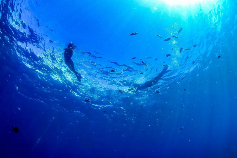 シュノーケリングを楽しむ人々