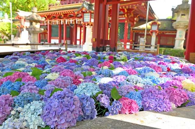 花手水