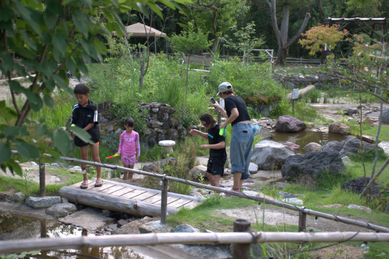 子供たちが水遊びを楽しんでいる様子