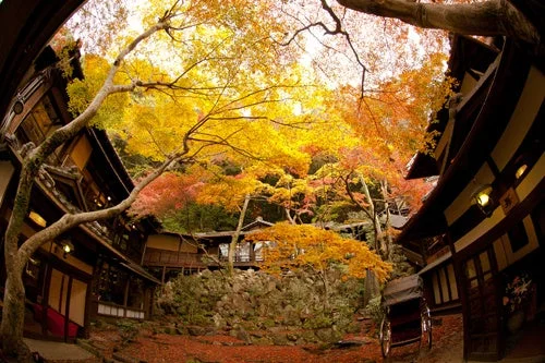 秋の風景