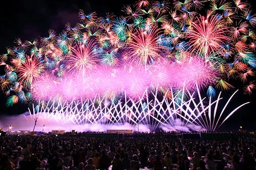 色とりどりの花火と観客