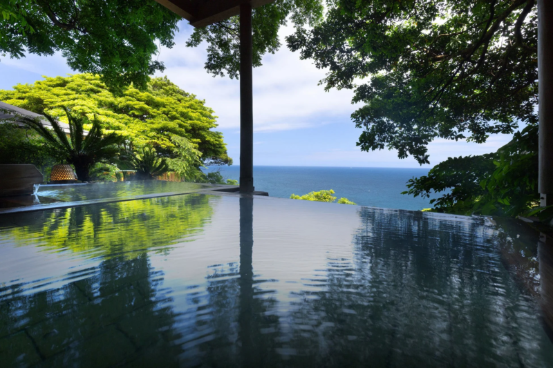 豊かな緑に囲まれたインフィニティプールから広大な海と青空を望む絶景の風景。水面に木々が映り込み、自然と一体化したような開放的な空間が広がっています。
