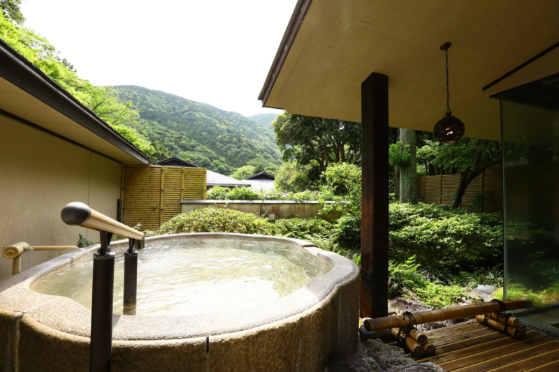 山々を望む豊かな自然に囲まれた石造りの露天風呂の風景。