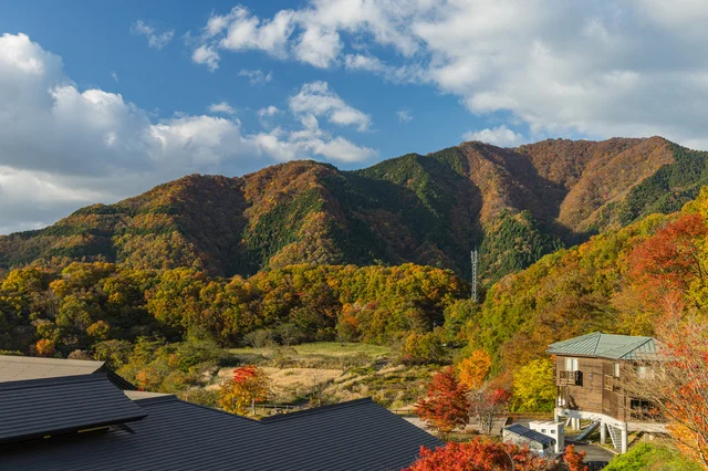紅葉の山と建物