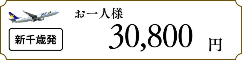 新千歳発の料金例