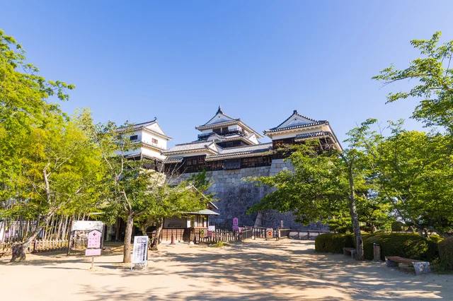 晴れ渡る青空の下にそびえる松山城